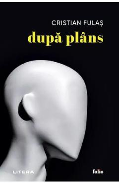 Dupa plans - Cristian Fulas