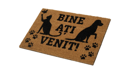 Covoras intrare Heinner HR-MTC-FAMPW, 60 x 40 cm (Multicolor)