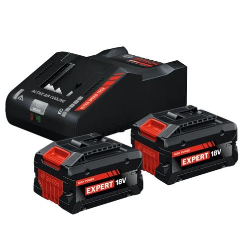 Set 2 acumulatori si incarcator Bosch Professional EXPERT 1600A0373T, 2 x acumulatori EXBA18V-80 (8Ah), EXAL18V-160