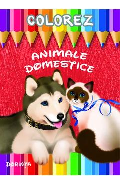 Colorez: Animale domestice