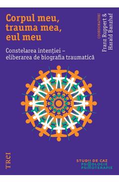 eBook Corpul meu, trauma mea, eul meu. Constelarea intentiei - eliberarea de biografia traumatica - Franz Ruppert, Harald Banzhaf