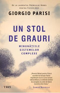 eBook Un stol de grauri. Minunatiile sistemelor complexe - Giorgio Parisi