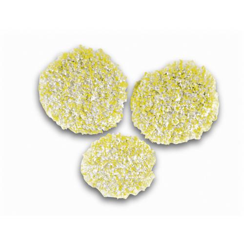 Tampoane de lustruire piatra/linoleum/pvc Karcher 2.863-198.0, 3 bucati, Compatibil cu FP 303