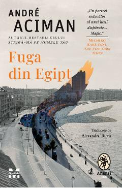 eBook Fuga din Egipt - Andre Aciman