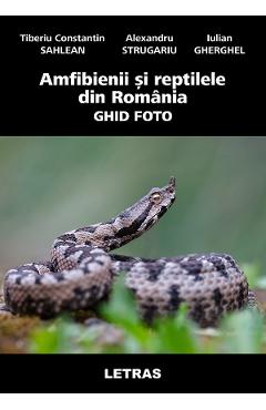 eBook Amfibienii si reptilele din Romania. Ghid Foto - Alexandru Strugariu, Iulian Gherghel, Tiberiu Constantin Sahlean