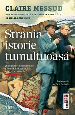eBook Strania istorie tumultuoasa - Claire Messud