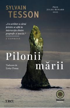eBook Pilonii marii - Sylvain Tesson