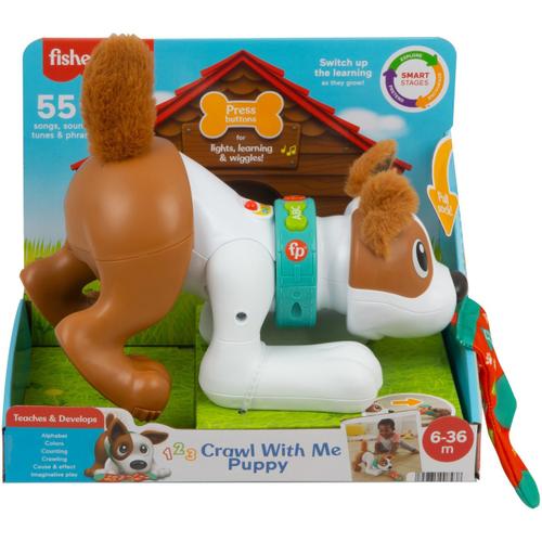 Jucarie bebelusi Fisher Price - Catelus Crawl With Me